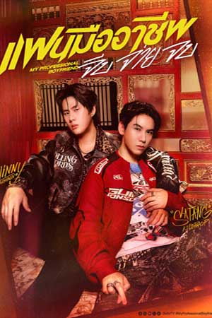 My Professional Boyfriend