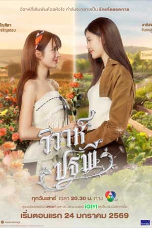 4 Elements: The Earth